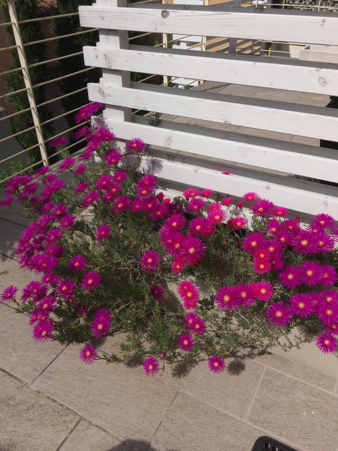 Antonella Gardalake 2 Desenzano del Garda Exteriör bild